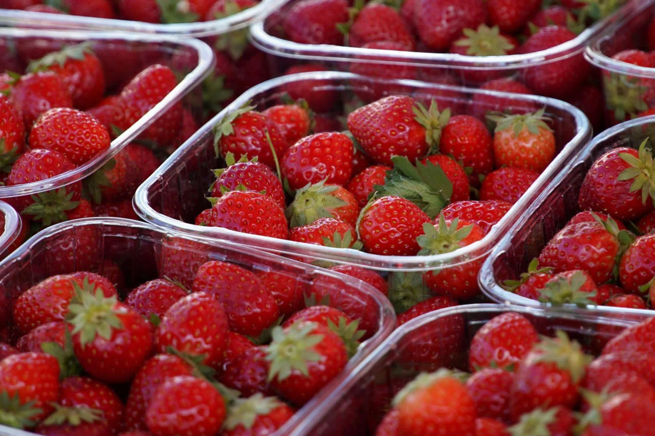 Lebensmittelindustrie